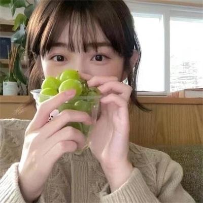 哈莉·奎茵第四季